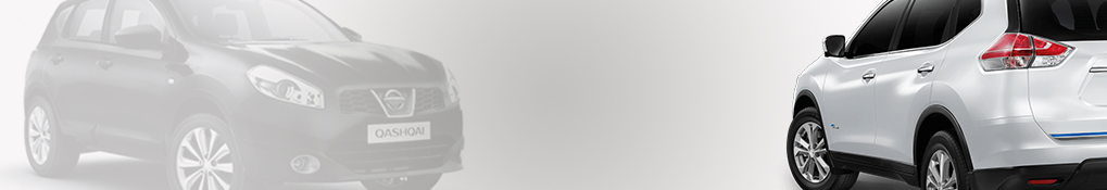 QASHQAI J10E HR16DE DIŞ KAPORTA GRUBU