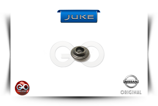 13209-00QAC<br>EKSANTRİK SİBOP ÇEKİRDEĞİ<br>JUKE>>F15E>>K9K>>1500 cc>>TURBO DİZEL