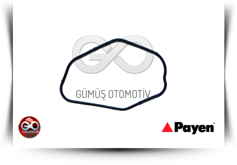 15025-43G01<br>MOTOR YAĞ POMPA ORİNGİ<br>PICK UP>>D22>>TD27>>2700 cc  DİZEL - Gümüş Otomotiv