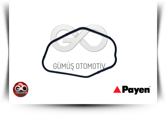 15025-43G01<br>MOTOR YAĞ POMPA ORİNGİ<br>PICK UP>>D22>>TD27>>2700 cc  DİZEL - Gümüş Otomotiv