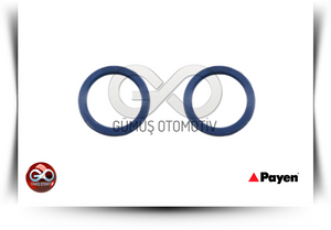 21334-02N00<br>YAĞ SOĞUTUCU ORİNG<br>PICK UP = D22 = TD27 = 2700 cc = DİZEL