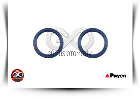 21334-02N00<br>YAĞ SOĞUTUCU ORİNG<br>PICK UP = D22 = TD27 = 2700 cc = DİZEL - Gümüş Otomotiv